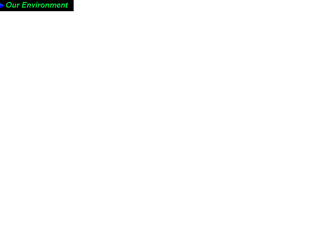 Our Enviroment